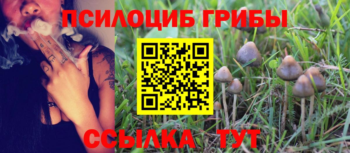 Верхняя Пышма  Галлюциногенные грибы Psilocybe  Вход с VPN 